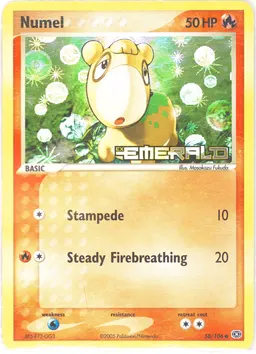 Numel #58