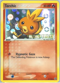 Torchic #69