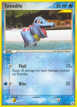 Totodile card photo