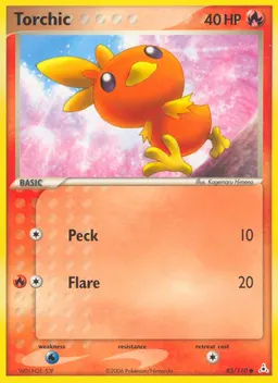 Torchic card photo