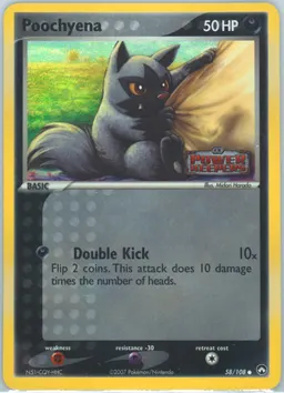 Poochyena #58