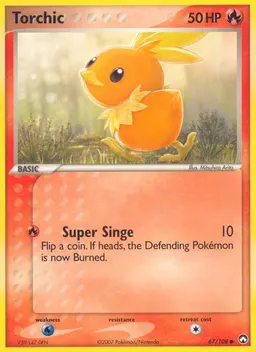 Torchic card photo