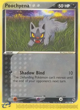 Poochyena card photo