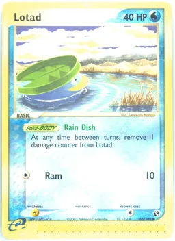 Lotad card photo