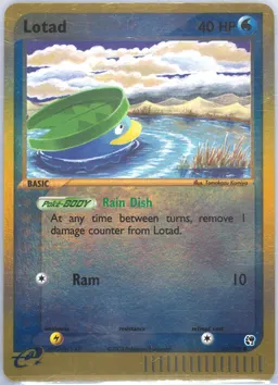 Lotad card photo