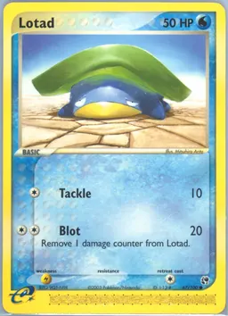Lotad #67
