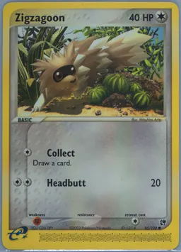 Zigzagoon #85