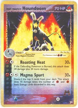 Team Magma's Houndoom #10