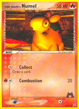 Team Magma's Numel #64