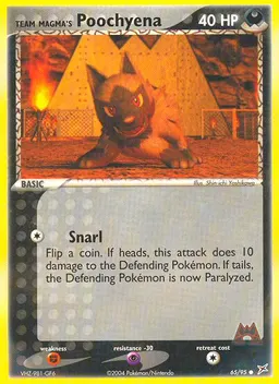 Team Magma's Poochyena card photo