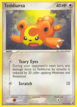 Teddiursa #77