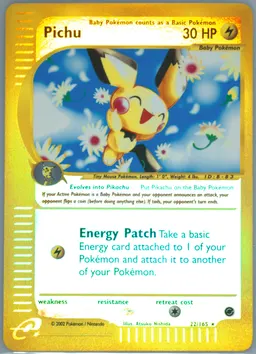 Pichu #22