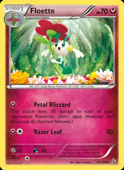 Floette #65