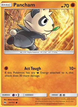 Pancham #65