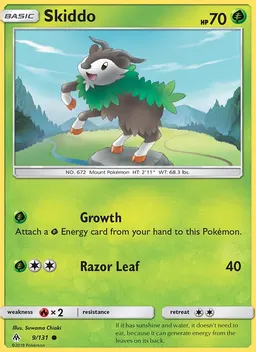 Skiddo #9