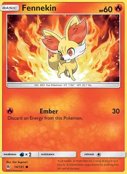 Fennekin #14