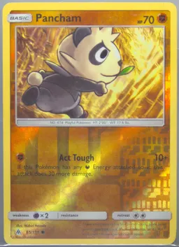 Pancham #65