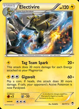 Electivire #30
