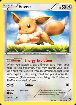 Eevee #80