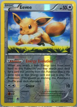 Eevee #80