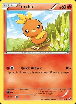 Torchic #12