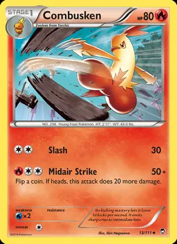 Combusken #13