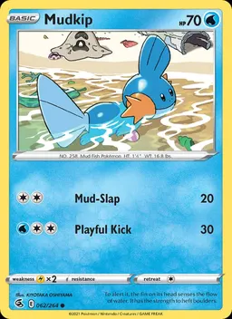 Mudkip #62