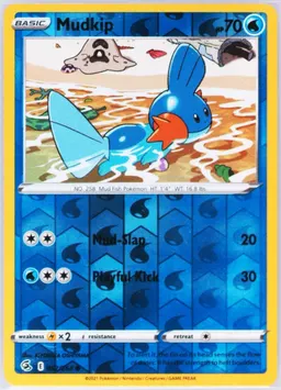 Mudkip #62
