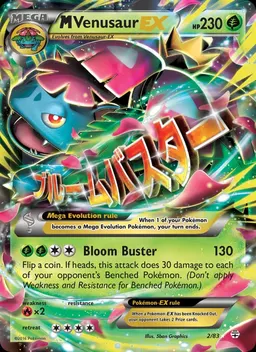 M Venusaur EX card photo