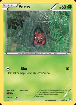 Paras #6