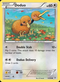 Doduo #55