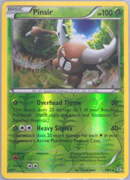 Pinsir #9