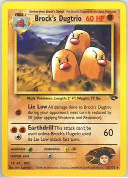Brock's Dugtrio #22
