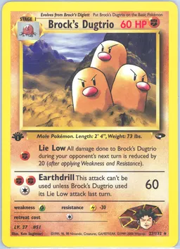 Brock's Dugtrio card photo