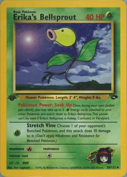Erika's Bellsprout card photo