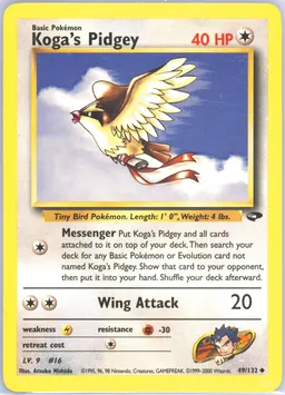 Koga's Pidgey #49