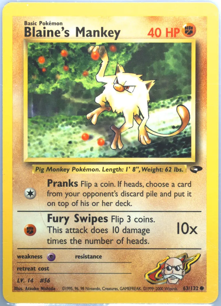 Blaine's Mankey card photo