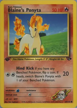 Blaine's Ponyta card photo