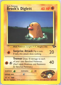 Brock's Diglett #67