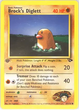 Brock's Diglett #67