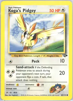 Koga's Pidgey #80