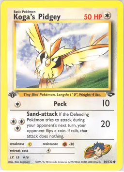 Koga's Pidgey card photo