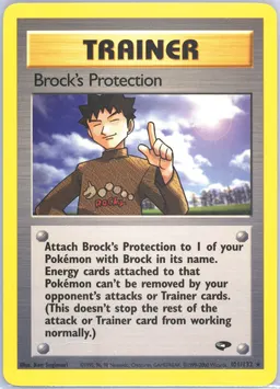 Brock's Protection #101