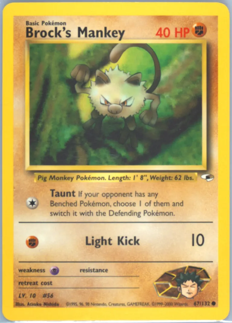 Brock's Mankey card photo