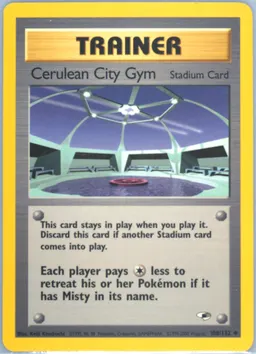 Cerulean City Gym #108