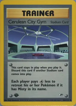 Cerulean City Gym #108