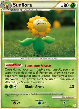 Sunflora #31