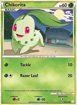 Chikorita #59