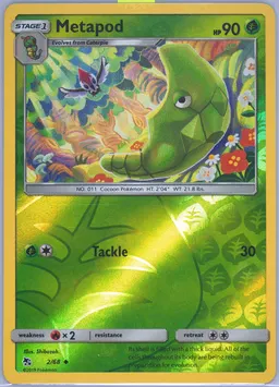 Metapod #2