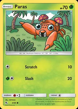 Paras #4